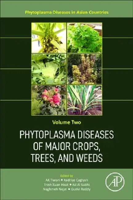 Phytoplasma Diseases of Major Crops, Trees and Weeds in Asia by A. K. Tiwari