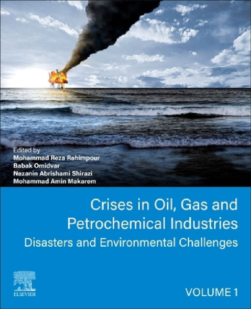 Crises in Oil, Gas and Petrochemical Industries: Disasters and Environmental Challenges by Mohammad Reza Rahimpour