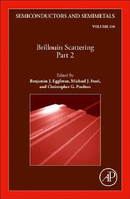 Semiconductors and Semimetals, 110 by Chennupati Jagadish