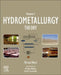 Hydrometallurgy: Theory by Michael Nicol