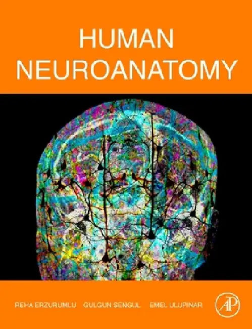 Human Neuroanatomy by Reha Erzurumlu