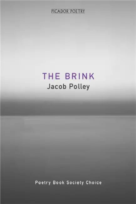 The Brink by Jacob Polley