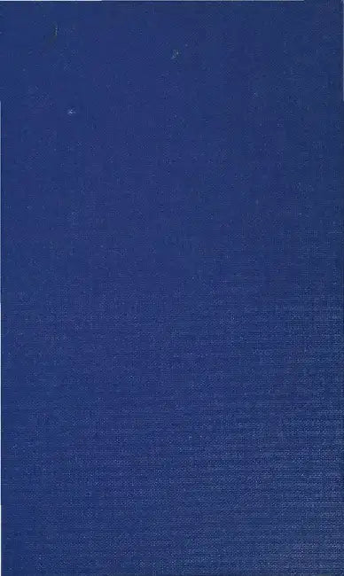Virginia Woolf: A Centenary Perspective by Eric Warner