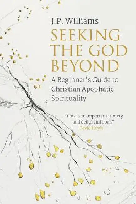 Seeking the God Beyond: A Beginner's Guide to Christian Apophatic Spirituality by J. P. Williams
