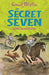 Secret Seven: 09: Secret Seven Mystery by Blyton, Enid
