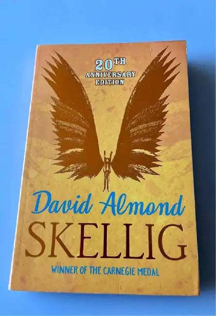 Skellig by David Almond