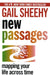New Passages: Mapping Your Life Across Time by Gail Sheehy