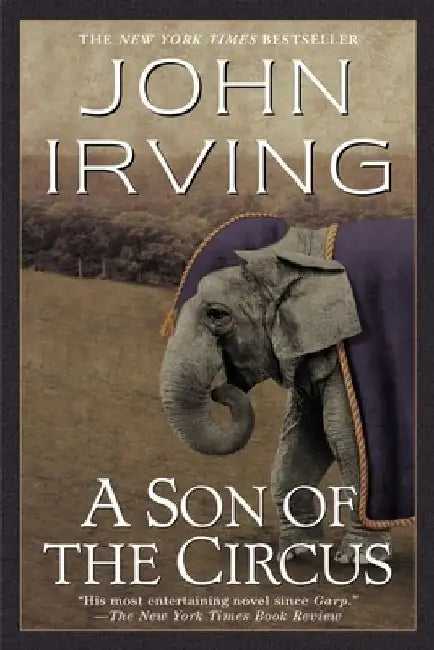 A Son of the Circus by John Irving