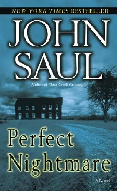 Perfect Nightmare by John Saul