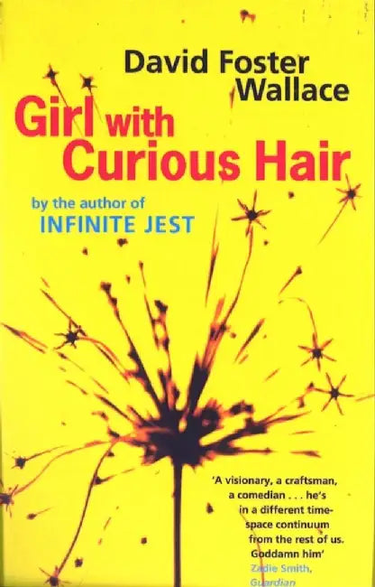 Girl With Curious Hair by David Foster Wallace