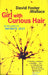 Girl With Curious Hair by David Foster Wallace