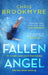 Fallen Angel by Chris Brookmyre