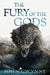 The Fury of the Gods: the epic conclusion to the New York Times bestselling Bloodsworn saga by John Gwynne