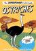 Ostriches by Rachel Poliquin