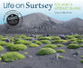 Life on Surtsey: Iceland's Upstart Island by Loree Griffin Burns