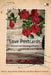 Love Postcards by Alicja Kuberska, Alicia Minjarez Ramirez