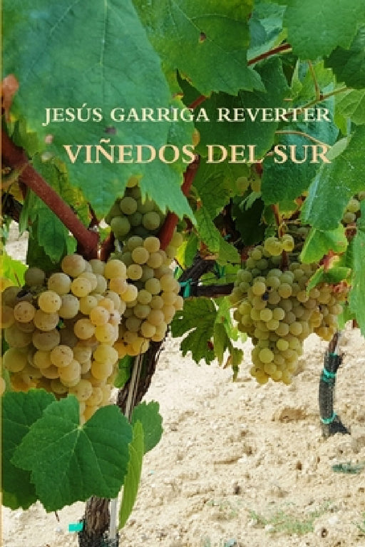 Viñedos del Sur by Jesús Garriga Reverter