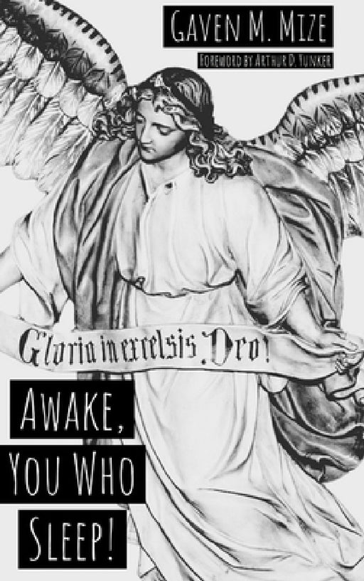 Awake, You Who Sleep: The Advent of the Christ by Gaven M. Mize