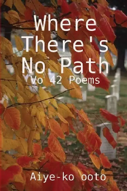 Where there's no path by Aiye-Ko Ooto