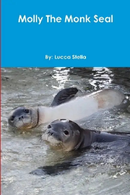 Molly The Monk Seal by Lucca Stella
