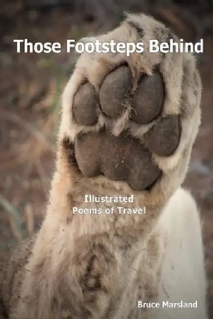 Those Footsteps Behind: Illustrated Poems of Travel by Bruce Marsland