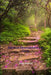 Spiritual Development Life Cycle by Aisha Simpson