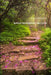 Spiritual Development Life Cycle by Aisha Simpson