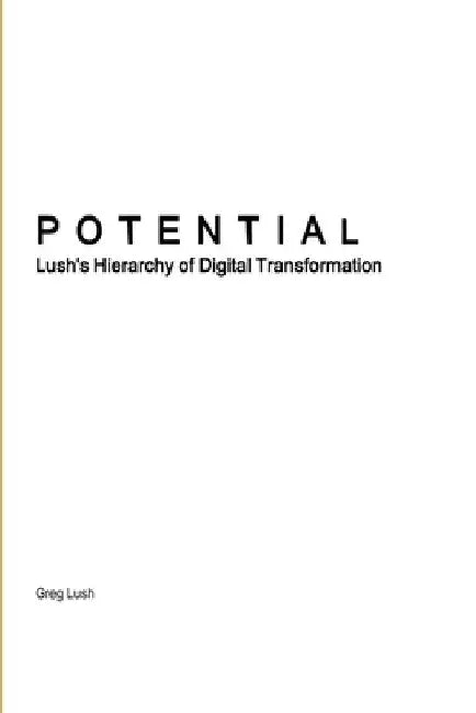 Potential Lush's Hierarchy of Digital Transformation by Greg Lush