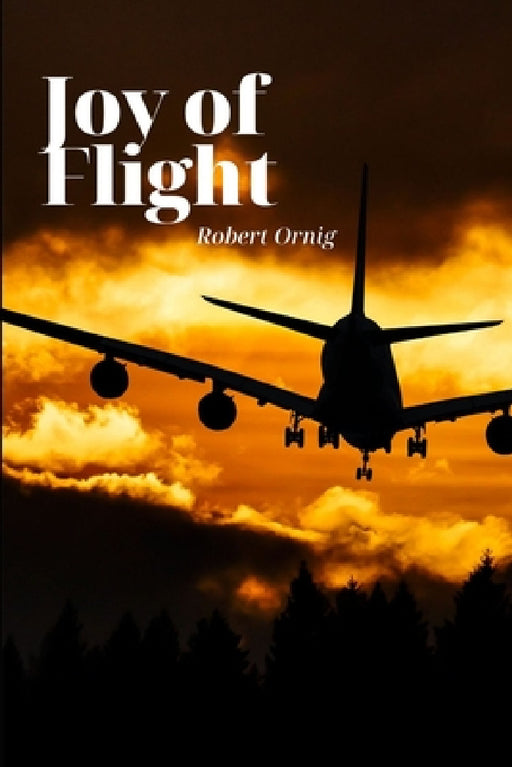 Joy of Flight by Robert Ornig