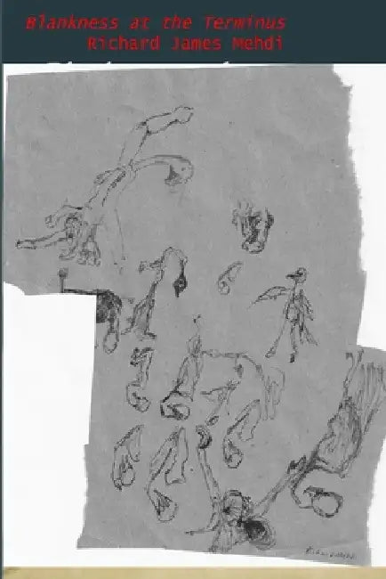 Blankness at the Terminus: Volume 2 of Furtive and Bearable Cessation by Richard James Mehdi