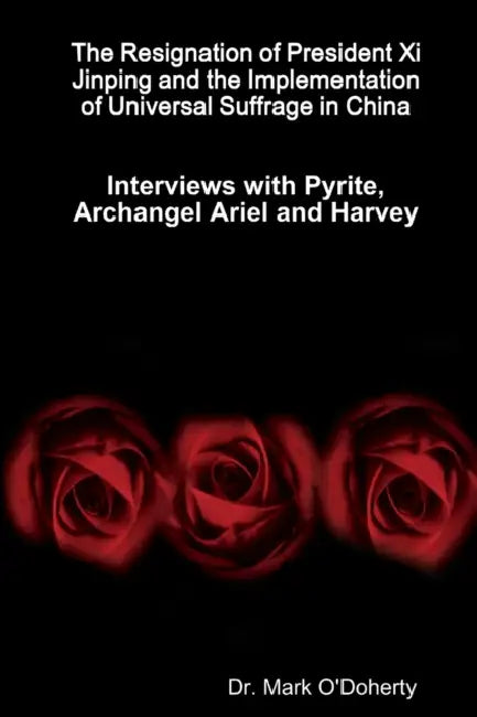 The Resignation of President Xi Jinping and the Implementation of Universal Suffrage in China - Interviews with Pyrite, Archangel Ariel and Harvey by Mark O'Doherty