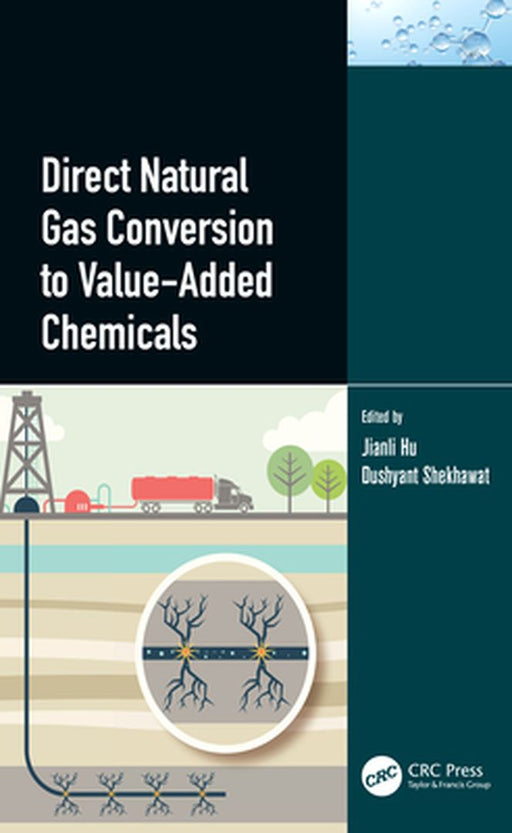 Direct Natural Gas Conversion to Value-Added Chemicals by Hu