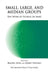 Small, Large and Median Groups: The Work of Patrick de Mare by Lenn Rachel