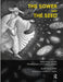 The Sower and the Seed: Reflections on the Development of Consciousness by Mulhern Alan