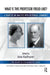 What Is This Professor Freud Like?: A Diary of an Analysis with Historical Comments by Koellreuter Anna