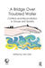 A Bridge Over Troubled Water: Conflicts and Reconciliation in Groups and Society by Ofer Gila