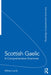 Scottish Gaelic: A Comprehensive Grammar by William Lamb
