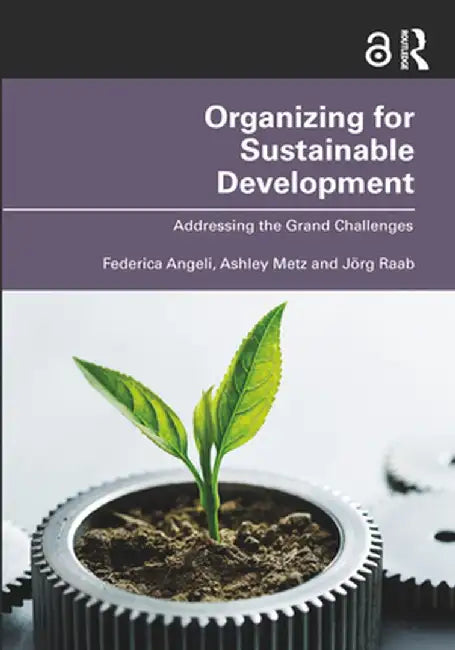 Organizing for Sustainable Development: Addressing the Grand Challenges by Federica Angeli
