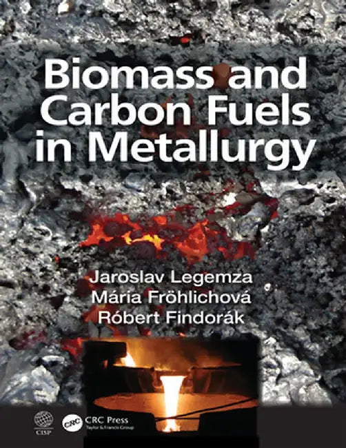 Biomass and Carbon Fuels in Metallurgy by Jaroslav Legemza