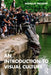 An Introduction to Visual Culture by Nicholas Mirzoeff