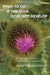 What to Do If the Mind Does Not Develop: A Psychoanalytic Study of Pervasive Developmental Disorders by Bertolini Roberto