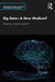 Big Data—A New Medium? by Lushetich