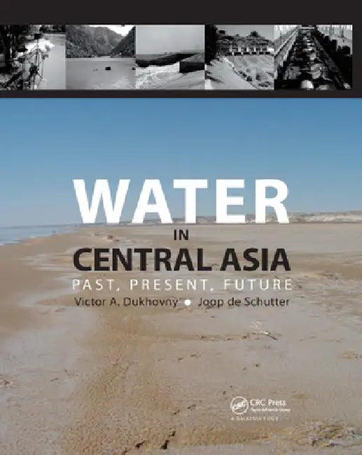 Water in Central Asia: Past, Present, Future by Dukhovny Victor A.