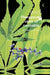 Therapeutic Uses of Cannabis by British Medical Associati