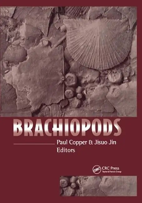 Brachiopods by Paul Copper