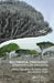 Multimedia Ontology: Representation and Applications by Santanu Chaudhury