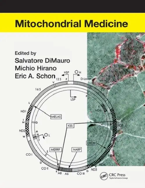 Mitochondrial Medicine by DiMauro Salvatore