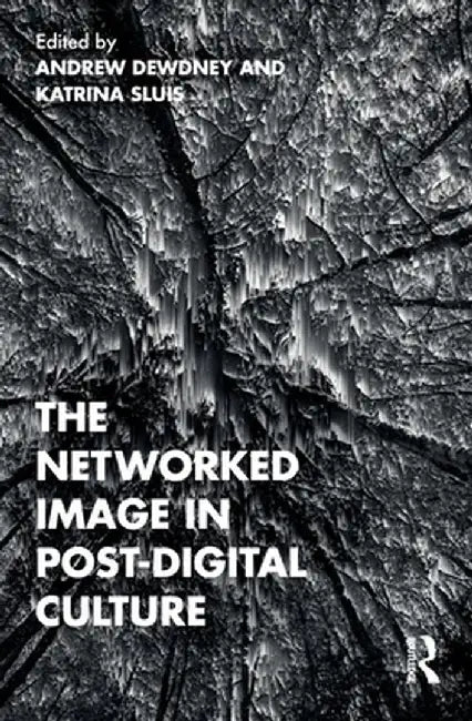 The Networked Image in Post-Digital Culture by Andrew Dewdney