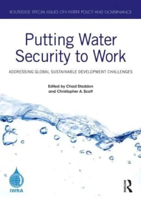 Putting Water Security to Work: Addressing Global Sustainable Development Challenges by Chad Staddon