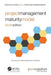 Project Management Maturity Model by CRAWFORD